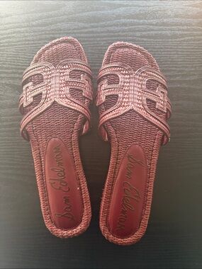 Never Worn - Sam Edelman Braided Slide Mules - Wine